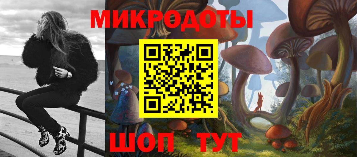 Кингисепп  Галлюциногенные грибы мицелий  Вход с VPN 
